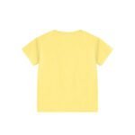 img_aliexpress1748020267.jpeg