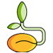 Seed Supply