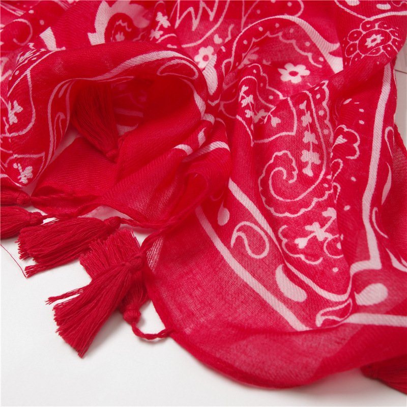 4374463310_906224695.jpg 4